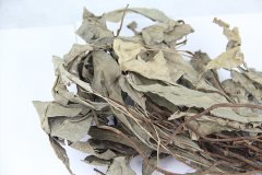 卡琪花蒂玛精装